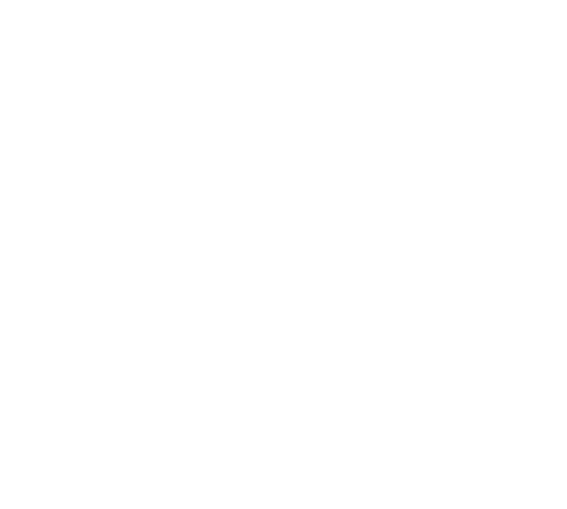 Stores Icon