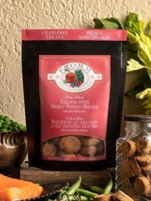 Fromm Four-Star Nutritionals® Salmon with Sweet Potato Recipe Treats for Dogs