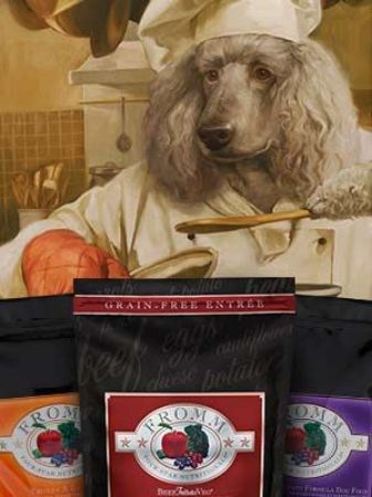 Picture for category Four-Star Dog