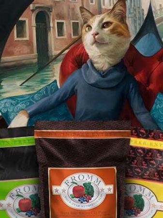 Picture for category Four-Star Cat