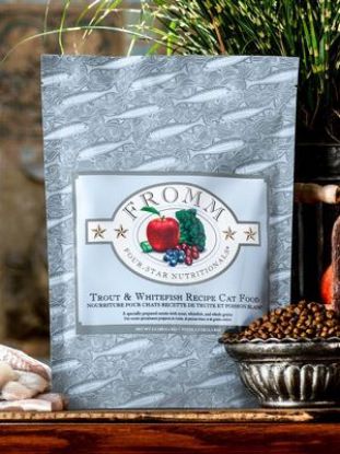 Fromm Four-Star Nutritionals® Trout & Whitefish Cat Food