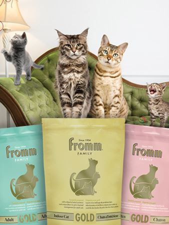 Picture for category Gold Cat